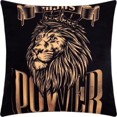 Наволочка Этель "Power" 40х40 см, 100% п/э, велюр